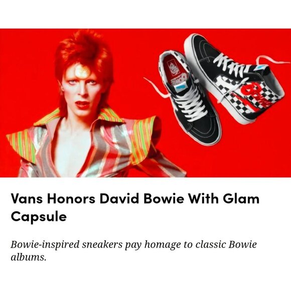 Vans David Bowie Womens 6.5 or Mens 5 Black White Check Hi Lace Embroidered Logo - Picture 4 of 13